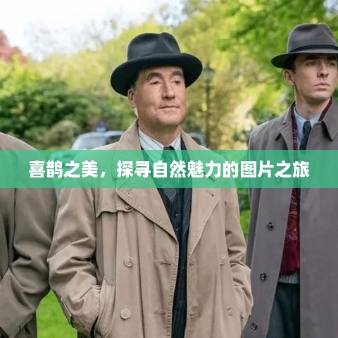 走马观花 第2页