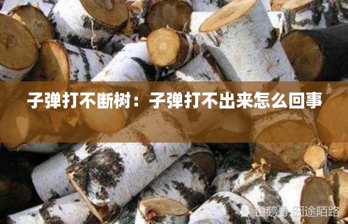 子弹打不断树：子弹打不出来怎么回事 