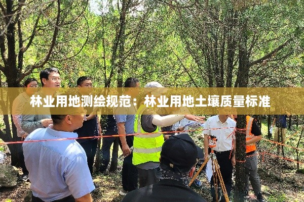 林业用地测绘规范：林业用地土壤质量标准 