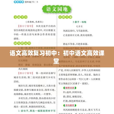 语文高效复习初中：初中语文高效课堂 
