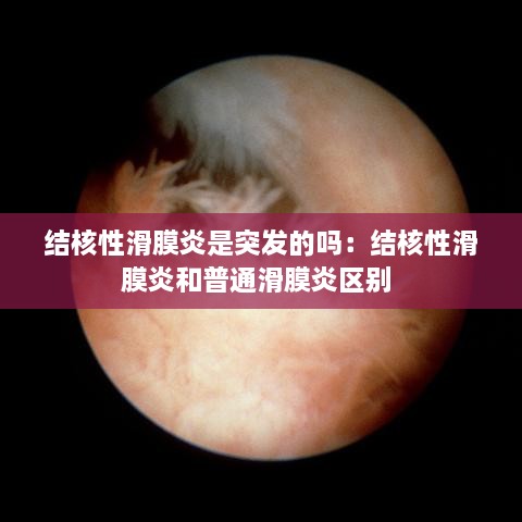 10新动二八 第2页