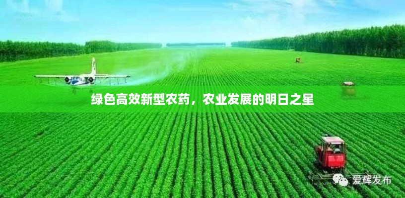 见缝就钻