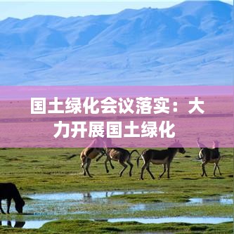 国土绿化会议落实：大力开展国土绿化 