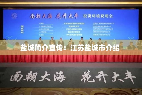 龙飞九五 第2页