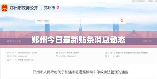 郑州今日最新贴条消息动态