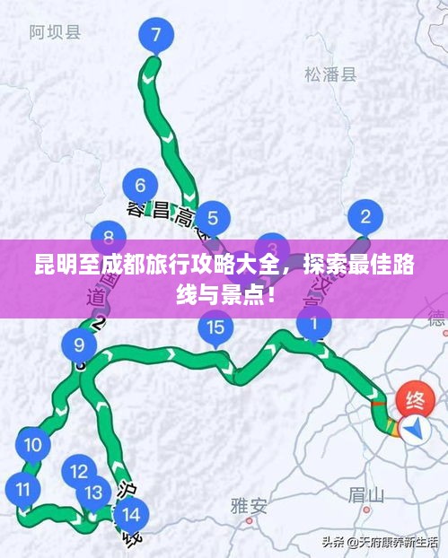 飞箭如蝗 第2页