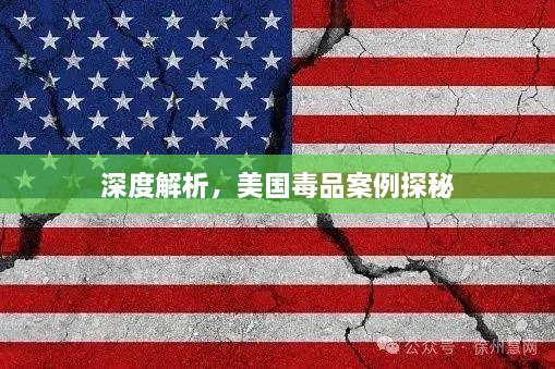 深度解析，美国毒品案例探秘