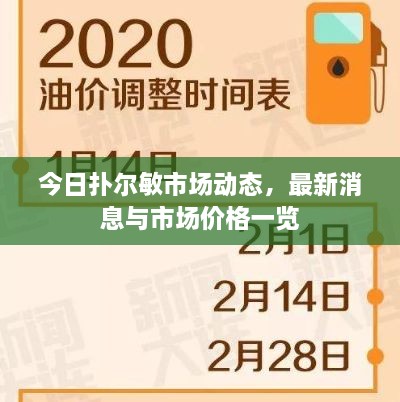 今日扑尔敏市场动态，最新消息与市场价格一览