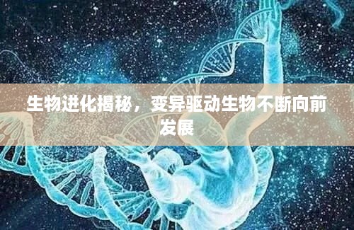 生物进化揭秘，变异驱动生物不断向前发展