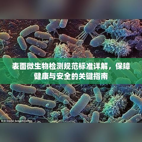 表面微生物检测规范标准详解，保障健康与安全的关键指南