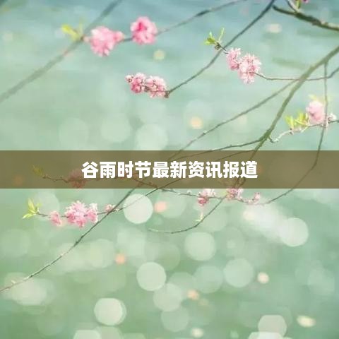 谷雨时节最新资讯报道