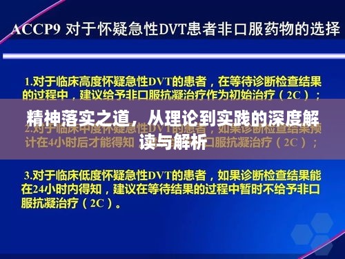 精神落实之道，从理论到实践的深度解读与解析