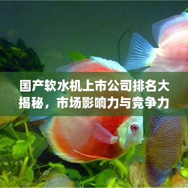 国产软水机上市公司排名大揭秘，市场影响力与竞争力解析！