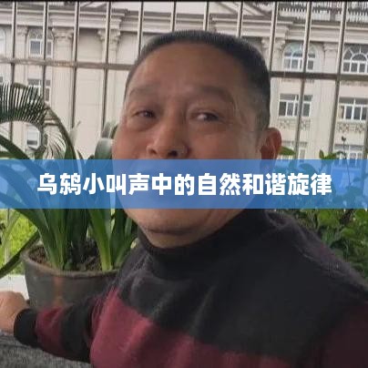 乌鸫小叫声中的自然和谐旋律