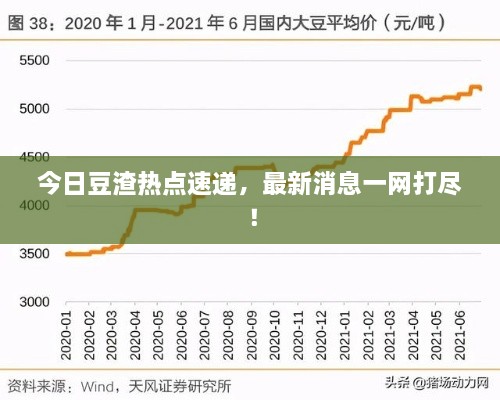 今日豆渣热点速递，最新消息一网打尽！
