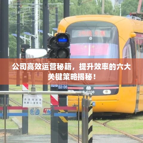 公司高效运营秘籍，提升效率的六大关键策略揭秘！