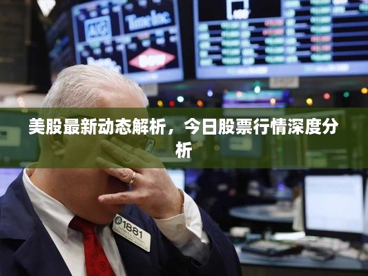 美股最新动态解析，今日股票行情深度分析