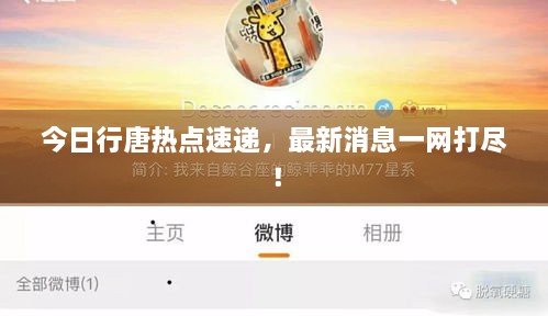 今日行唐热点速递，最新消息一网打尽！