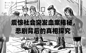 震惊社会突发血案揭秘，悲剧背后的真相探究