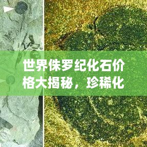 世界侏罗纪化石价格大揭秘，珍稀化石排名榜单！