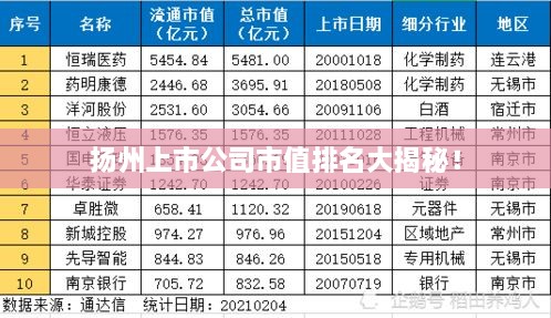 扬州上市公司市值排名大揭秘！