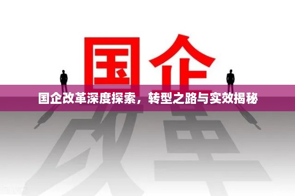 国企改革深度探索，转型之路与实效揭秘