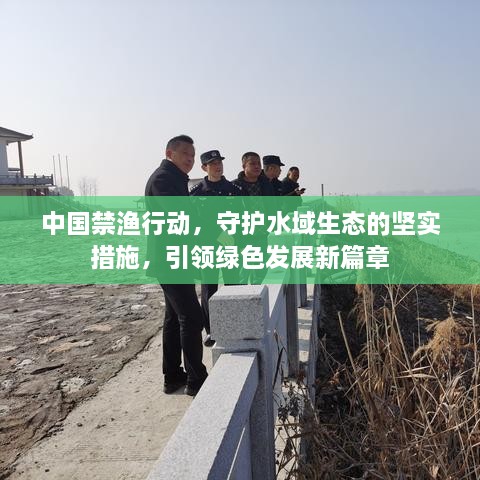 中国禁渔行动，守护水域生态的坚实措施，引领绿色发展新篇章
