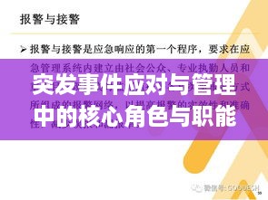 凤凰于飞