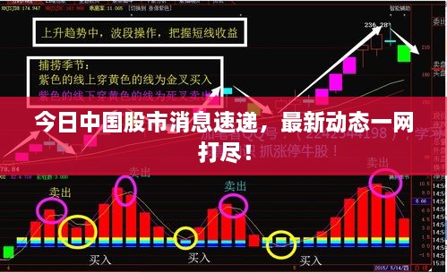 新闻 第83页