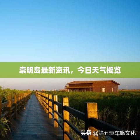 新闻 第80页