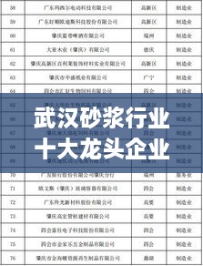 武汉砂浆行业十大龙头企业榜单揭晓！