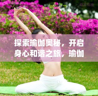探索瑜伽奥秘，开启身心和谐之旅，瑜伽宣传页独家呈现！