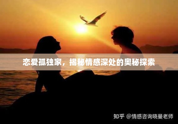 恋爱孤独家，揭秘情感深处的奥秘探索