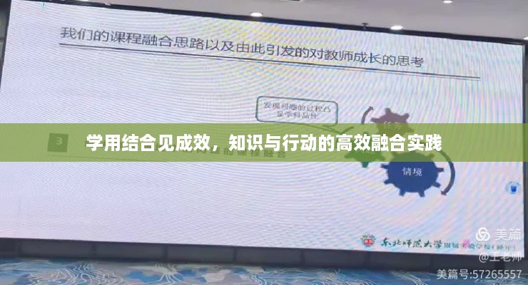 沉默的风
