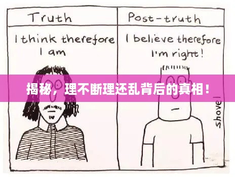揭秘，理不断理还乱背后的真相！
