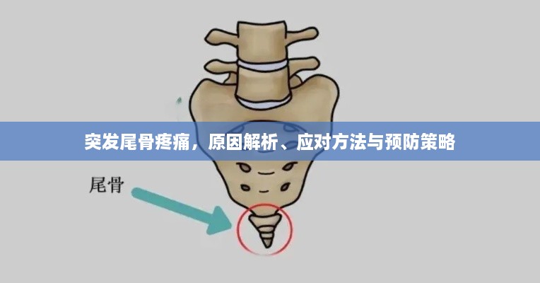 10新动二八_1