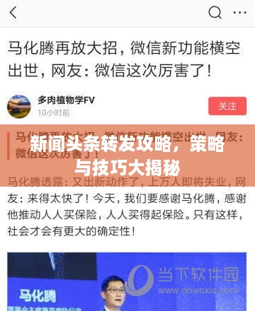 新闻头条转发攻略，策略与技巧大揭秘