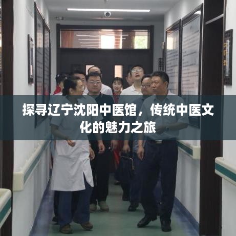 探寻辽宁沈阳中医馆，传统中医文化的魅力之旅