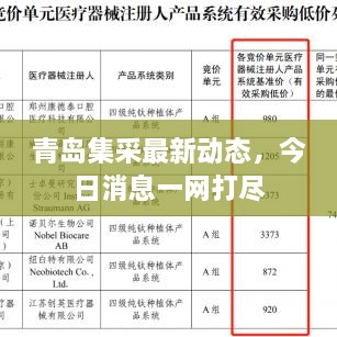 青岛集采最新动态，今日消息一网打尽