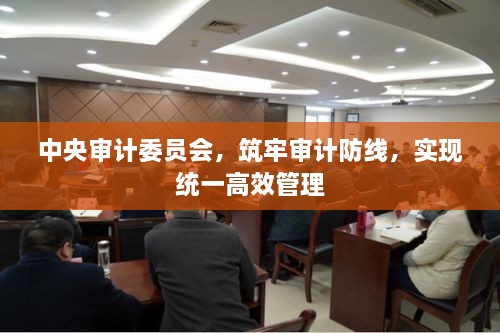 中央审计委员会，筑牢审计防线，实现统一高效管理