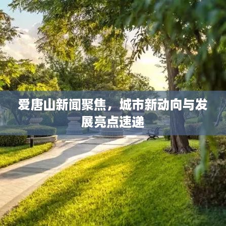美文 第51页