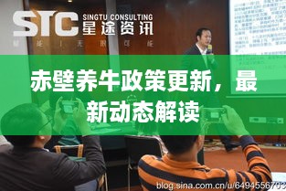 赤壁养牛政策更新，最新动态解读
