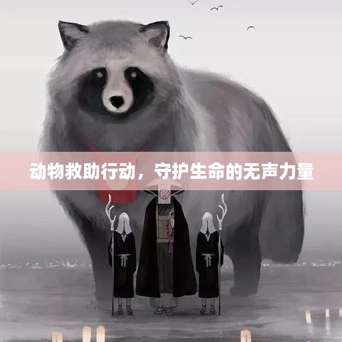 动物救助行动，守护生命的无声力量