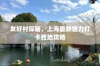 友好村探秘，上海最新魅力打卡胜地攻略
