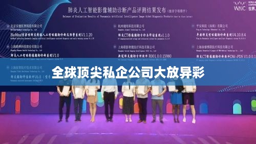 全球顶尖私企公司大放异彩