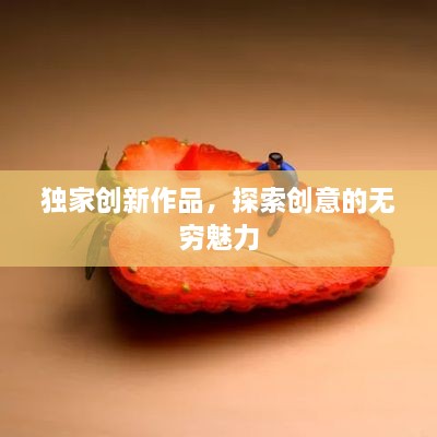 独家创新作品，探索创意的无穷魅力