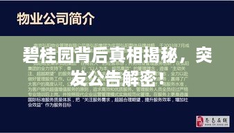 碧桂园背后真相揭秘，突发公告解密！