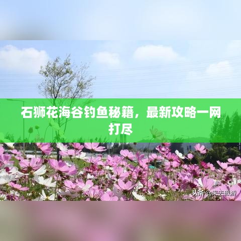 石狮花海谷钓鱼秘籍，最新攻略一网打尽