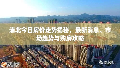 浦北今日房价走势揭秘，最新消息、市场趋势与购房攻略