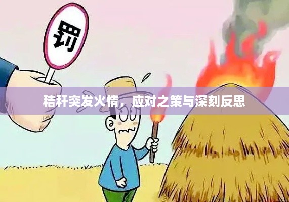秸秆突发火情，应对之策与深刻反思
